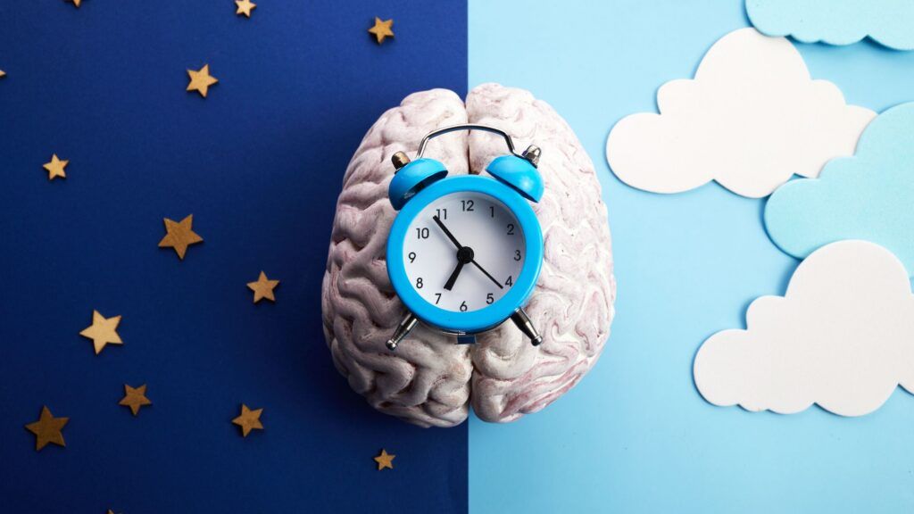 Aligning sleep, eating, and light exposure with circadian rhythm optimizes metabolic health