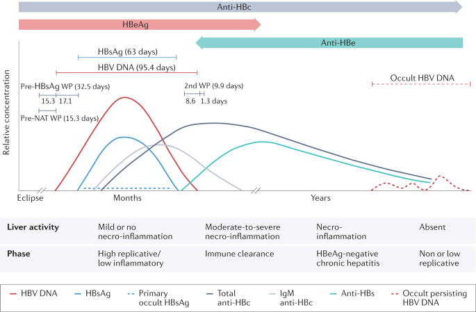 Optimal ranges for blood markers are often tighter than standard reference ranges, revealing opportunities for health improvement